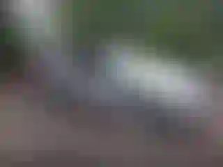 Vehicle Image- 2006 Ford Focus