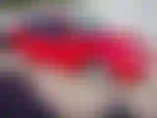 Vehicle Image- 2006 Ford Focus
