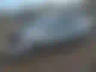 Vehicle Image- 2009 Ford Focus