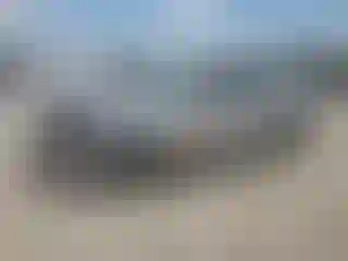 Vehicle Image- 2009 Ford Focus