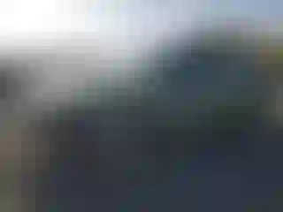 Vehicle Image- 2008 Ford Focus