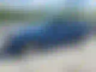 Vehicle Image- 2008 Ford Focus