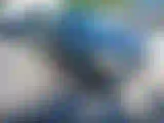 Vehicle Image- 2008 Ford Focus