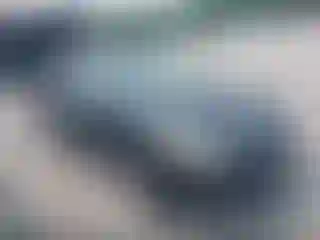 Vehicle Image- 2008 Ford Focus