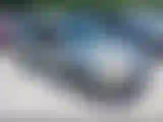 Vehicle Image- 2008 Ford Focus