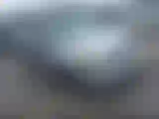 Vehicle Image- 2009 Ford Focus