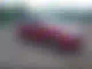 Vehicle Image- 2009 Ford Focus