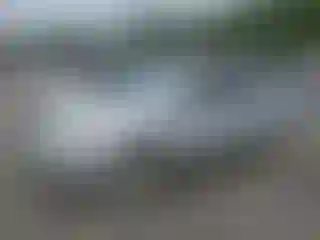 Vehicle Image- 2008 Ford Focus
