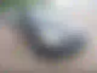 Vehicle Image- 2009 Ford Focus