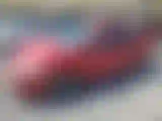 Vehicle Image- 2008 Ford Focus