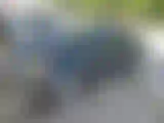 Vehicle Image- 2008 Ford Focus