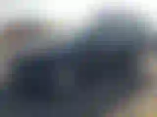 Vehicle Image- 2003 Ford Focus