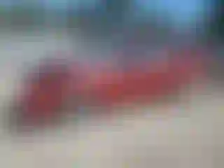 Vehicle Image- 2000 Ford Focus