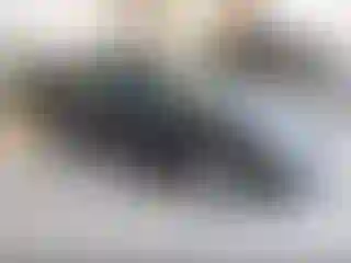 Vehicle Image- 2000 Ford Focus