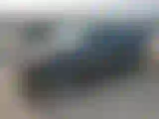 Vehicle Image- 2006 Ford Focus