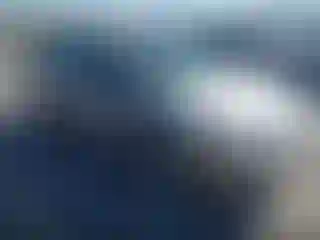 Vehicle Image- 2006 Ford Focus