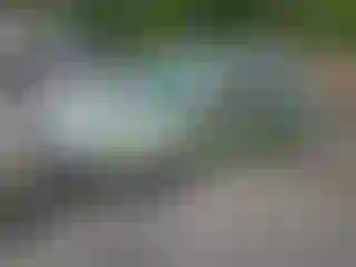 Vehicle Image- 2008 Ford Focus