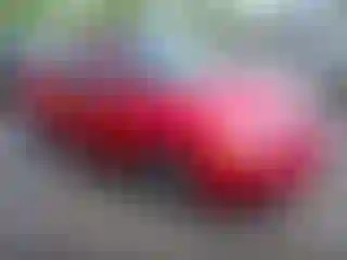 Vehicle Image- 2008 Ford Focus
