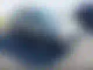 Vehicle Image- 2006 Ford Focus