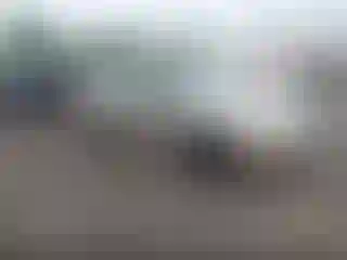 Vehicle Image- 2007 Ford Focus