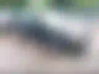 Vehicle Image- 2007 Ford Focus