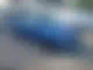 Vehicle Image- 2005 Ford Focus