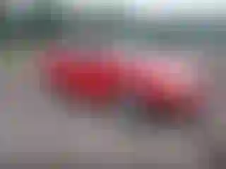 Vehicle Image- 2006 Ford Focus