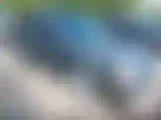 Vehicle Image- 2007 Ford Focus
