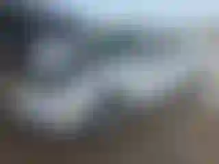Vehicle Image- 2007 Ford Focus