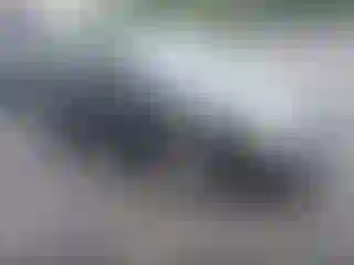 Vehicle Image- 2007 Ford Focus