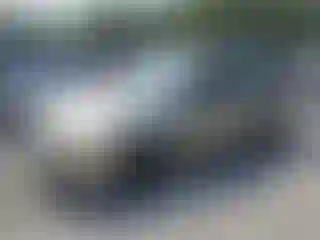 Vehicle Image- 2008 Ford Focus