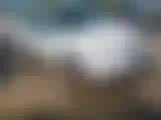 Vehicle Image- 2005 Ford Focus