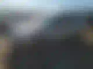 Vehicle Image- 2006 Ford Focus