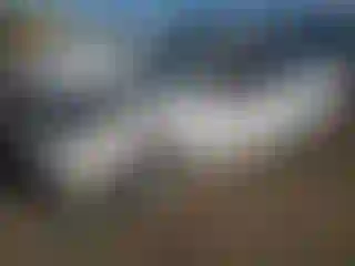 Vehicle Image- 2007 Ford Focus