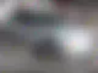 Vehicle Image- 2007 Ford Focus