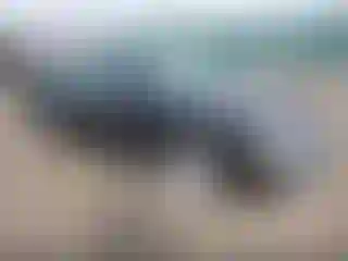 Vehicle Image- 2007 Ford Focus