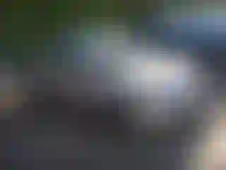 Vehicle Image- 2008 Ford Focus