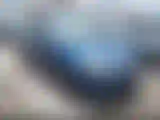 Vehicle Image- 2009 Ford Focus