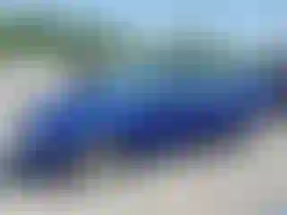 Vehicle Image- 2006 Ford Focus