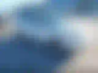 Vehicle Image- 2007 Ford Focus