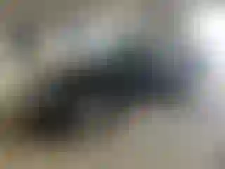 Vehicle Image- 2007 Ford Focus