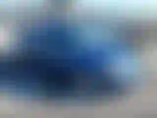 Vehicle Image- 2008 Ford Focus