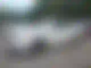 Vehicle Image- 2009 Ford Focus