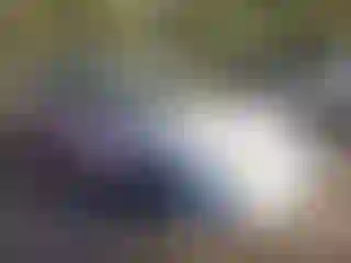 Vehicle Image- 2007 Ford Focus