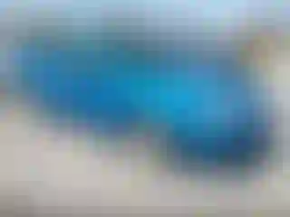 Vehicle Image- 2007 Ford Focus