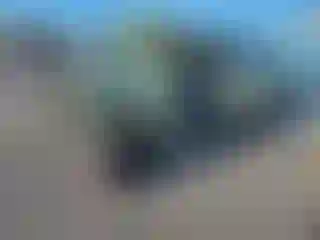 Vehicle Image- 2008 Ford Focus