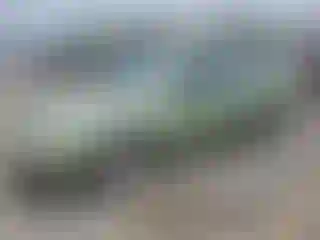 Vehicle Image- 2007 Ford Focus