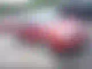 Vehicle Image- 2009 Ford Focus