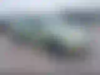 Vehicle Image- 2007 Ford Focus