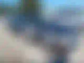 Vehicle Image- 2007 Ford Focus